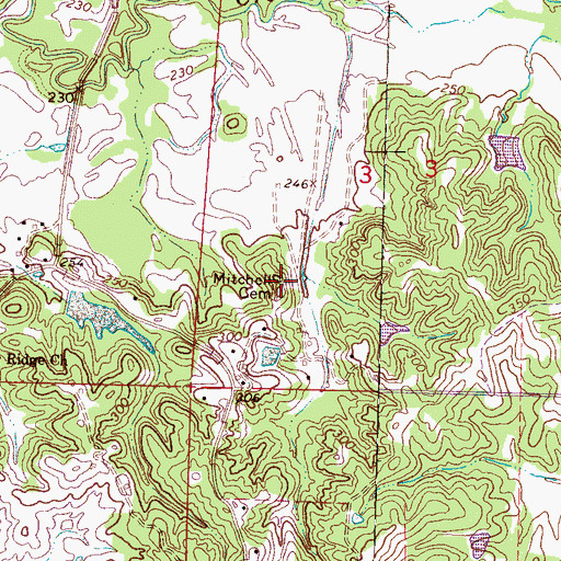 Topographic Map of Mitchell Cemetery, MS