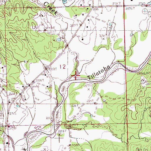 Topographic Map of Mitchell Creek, MS