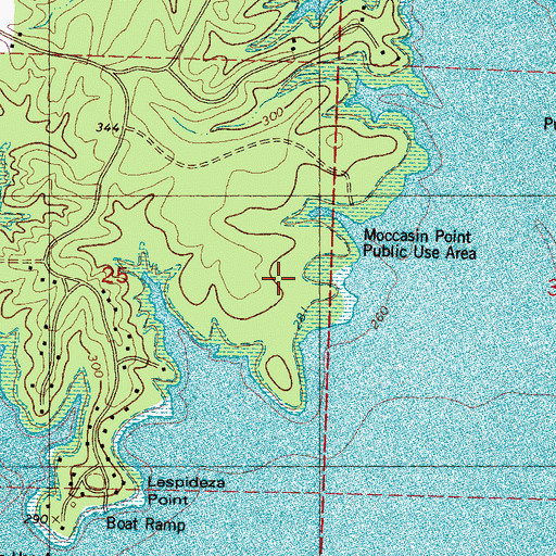 Topographic Map of Moccasin Point, MS