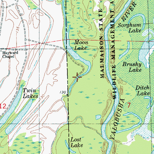 Topographic Map of Moon Lake, MS