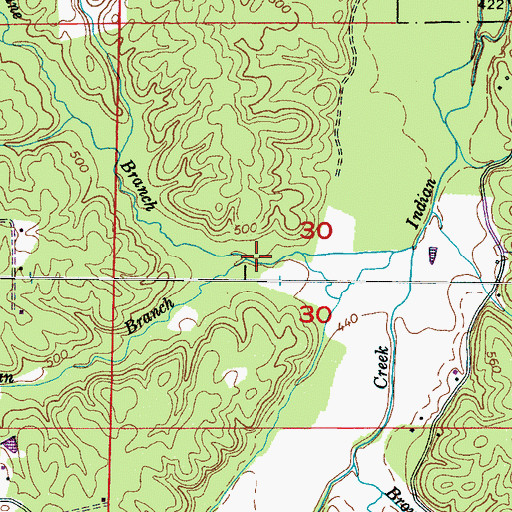 Topographic Map of Morgan Branch, MS