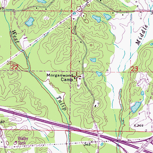 Topographic Map of Morganwood Camp, MS