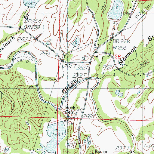 Topographic Map of Mormon Branch, MS
