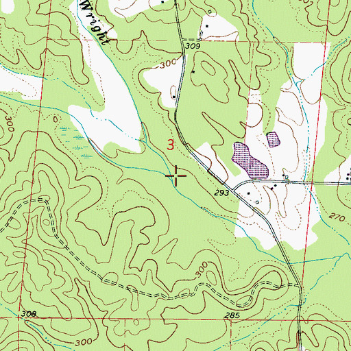 Topographic Map of Mosley Branch, MS