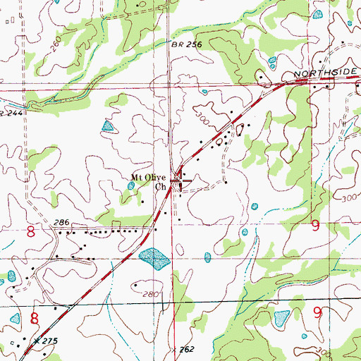 Topographic Map of Mount Olive Church, MS