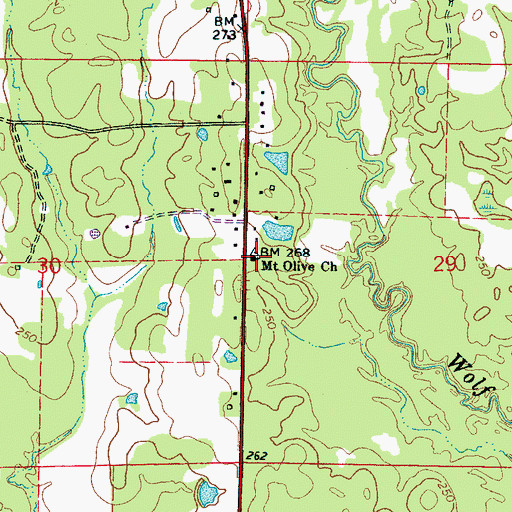 Topographic Map of Mount Olive Missionary Baptist Church, MS