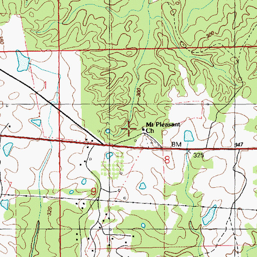 Topographic Map of Mount Pleasant Church, MS
