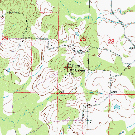 Topographic Map of Mount Salem Church, MS