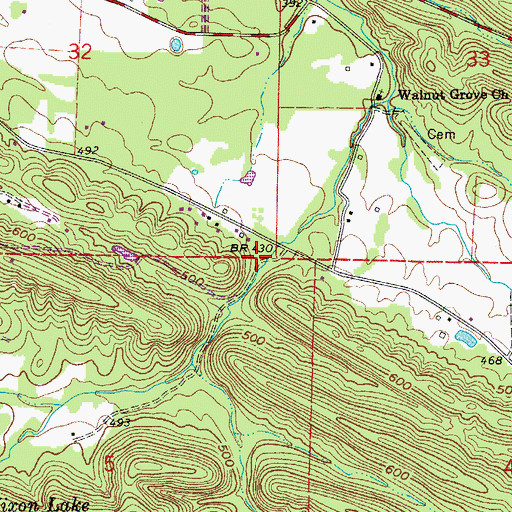 Topographic Map of Bland Hollow, AR
