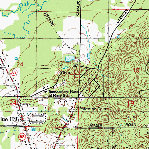 Topographic Map of Blue Hill, AR