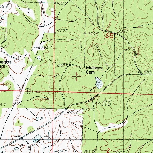 Topographic Map of Mulberry Cemetery, MS