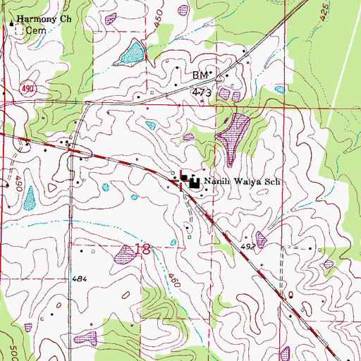 Topographic Map of Nanih Waiya School, MS