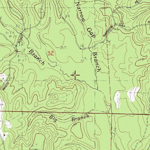Topographic Map of Narrow Gap Branch, MS
