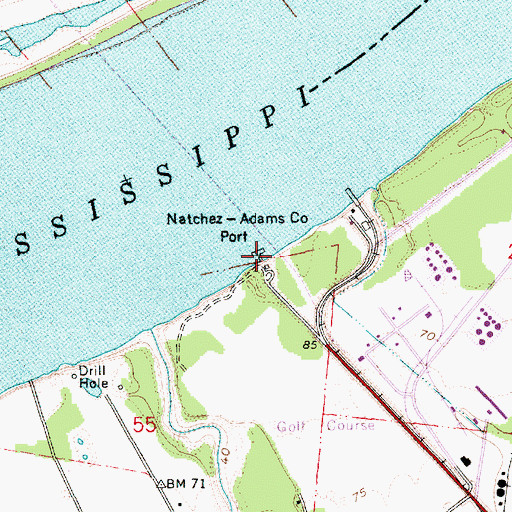 Topographic Map of Natchez-Adams County Port, MS