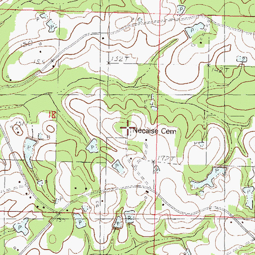 Topographic Map of Necaise Cemetery, MS