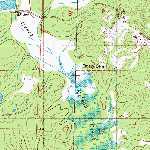 Topographic Map of Nelson Creek, MS