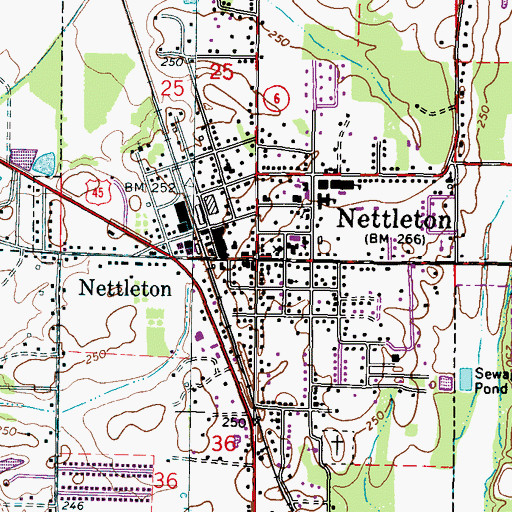 Topographic Map of Nettleton, MS