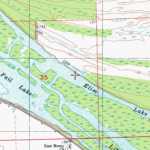 Topographic Map of Elim Lake, MS