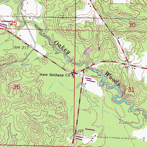 Topographic Map of New Bethany Church, MS