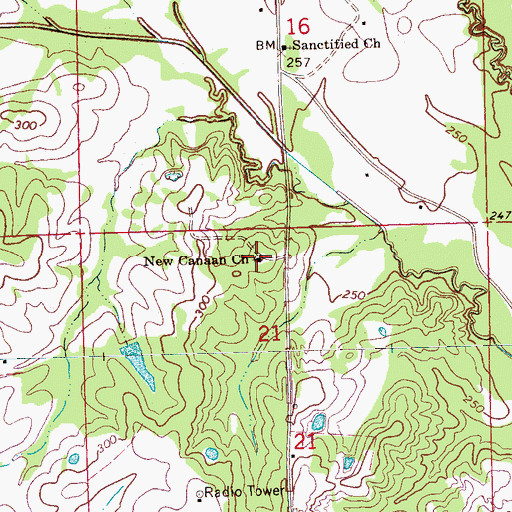 Topographic Map of New Canaan Church, MS