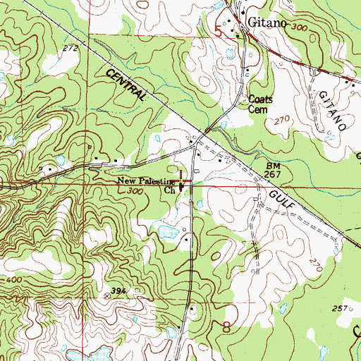 Topographic Map of New Palestine Church, MS