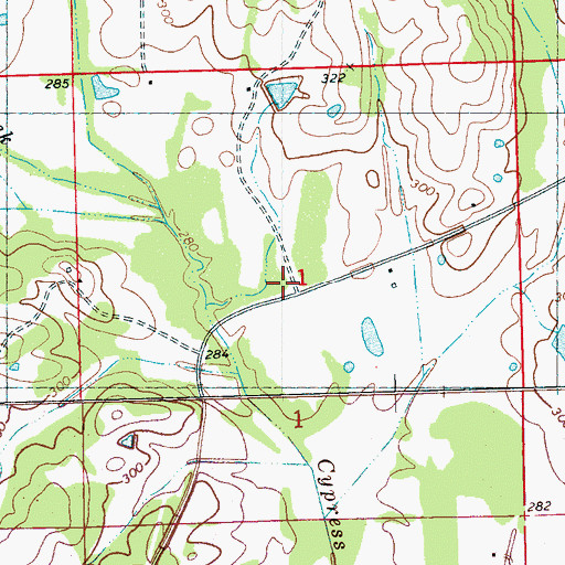 Topographic Map of Newport School, MS