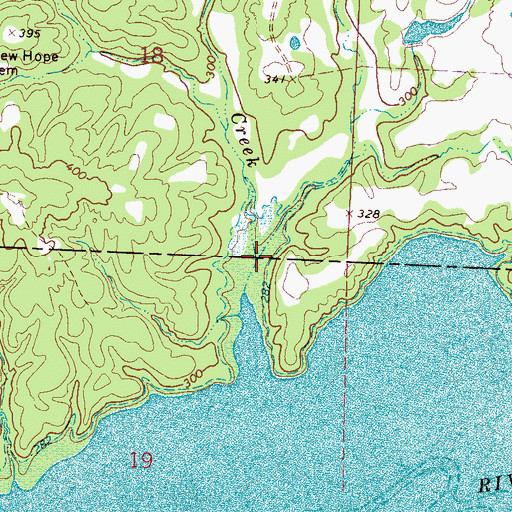 Topographic Map of Newsom Creek, MS