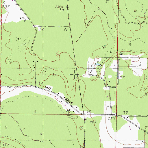 Topographic Map of Nut Bank, MS