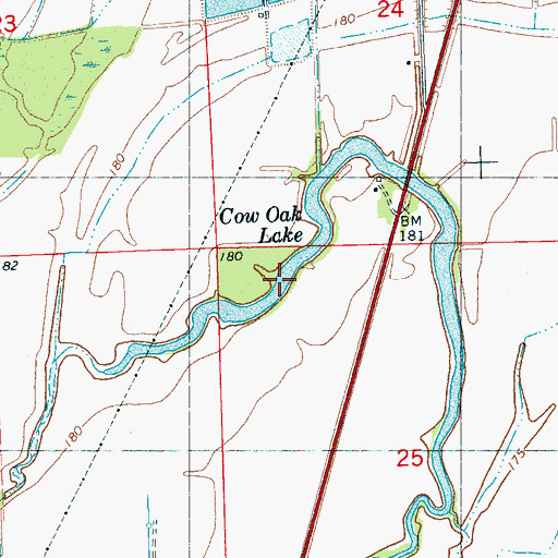 Topographic Map of Cow Oak Lake, MS