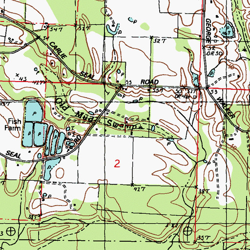 Topographic Map of Old Mud Swamp, MS