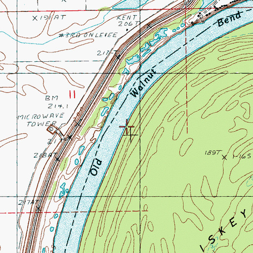 Topographic Map of Old Walnut Bend, MS