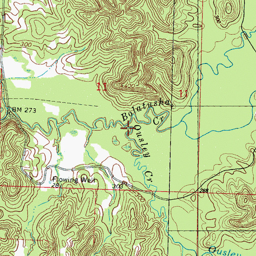 Topographic Map of Ousley Creek, MS