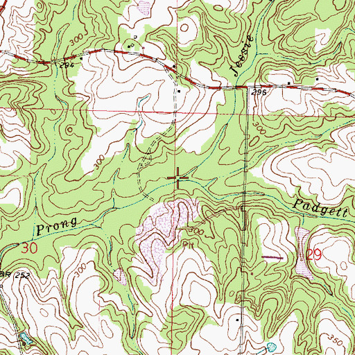 Topographic Map of Padgett Branch, MS