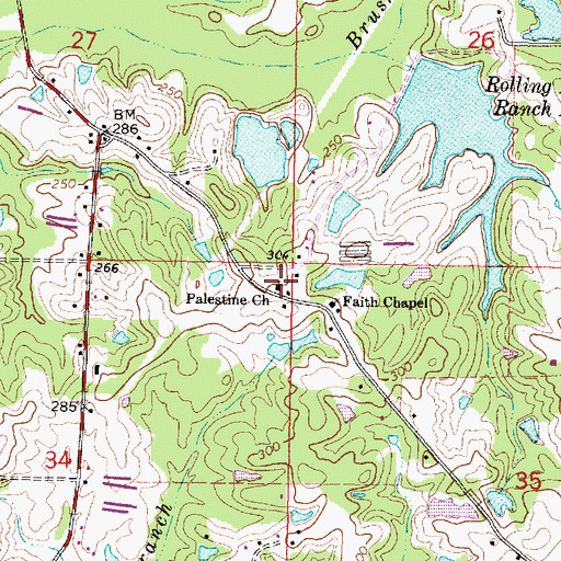 Topographic Map of Palestine Church, MS