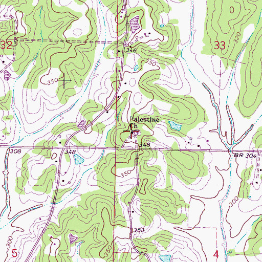 Topographic Map of Palestine Church, MS