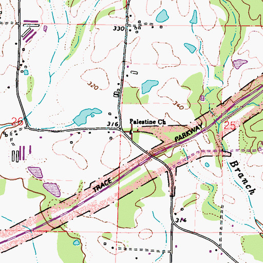 Topographic Map of Palestine Church, MS