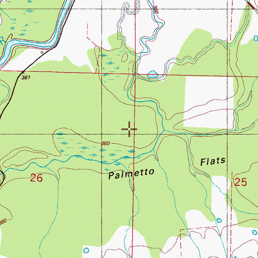Topographic Map of Palmetto Flats, MS