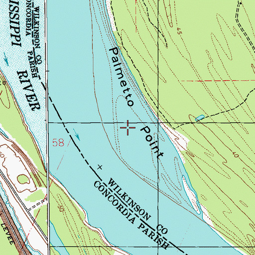 Topographic Map of Palmetto Point, MS