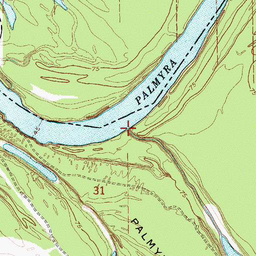 Topographic Map of Palmyra Chute, MS