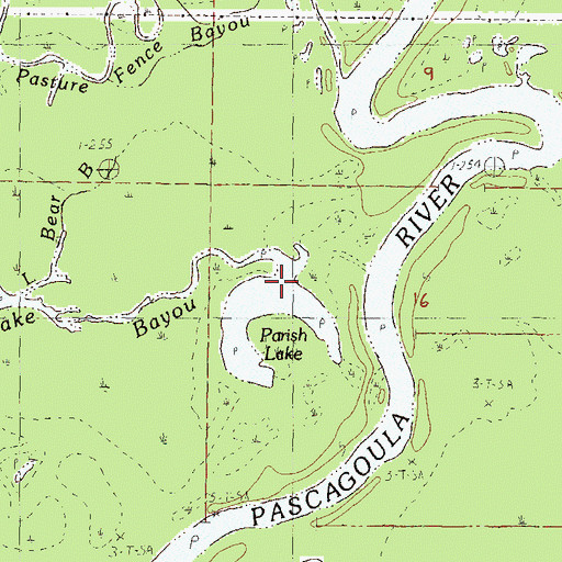 Topographic Map of Parish Lake, MS