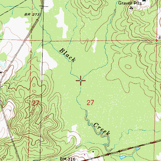 Topographic Map of Parkers Creek, MS