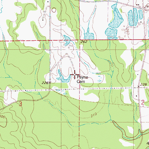 Topographic Map of Payne Cemetery, MS