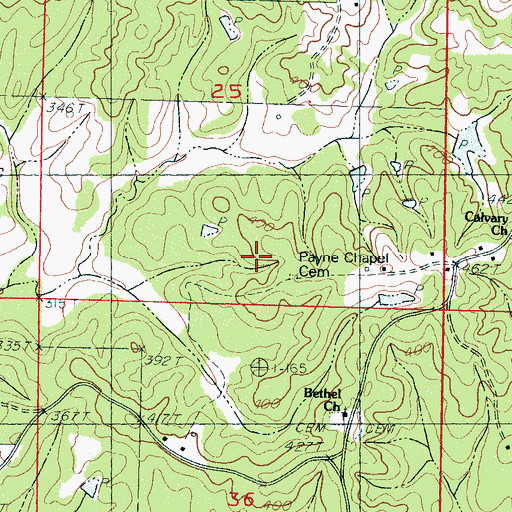 Topographic Map of Payne Chapel Cemetery, MS
