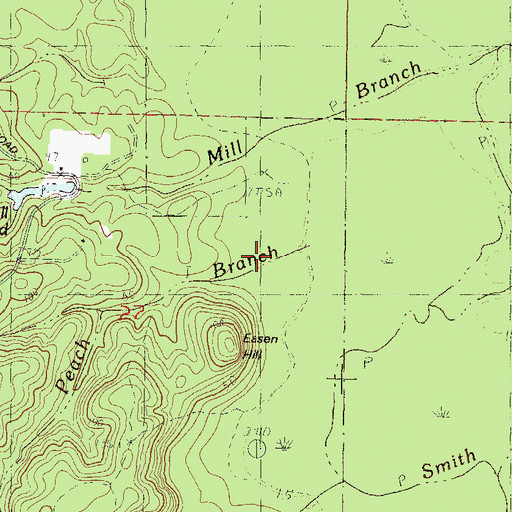 Topographic Map of Peach Branch, MS