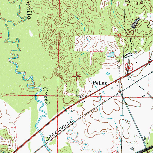 Topographic Map of Pellez, MS