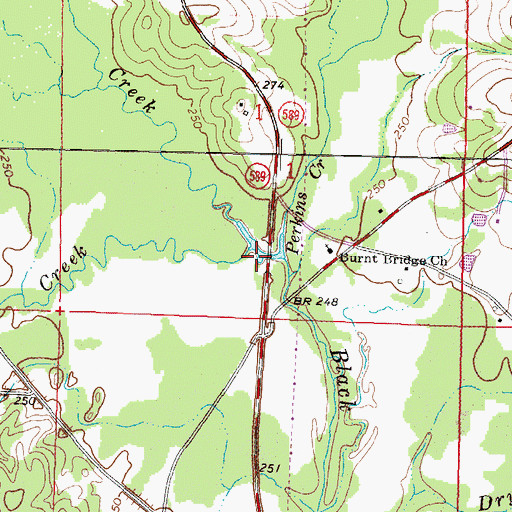 Topographic Map of Perkins Creek, MS