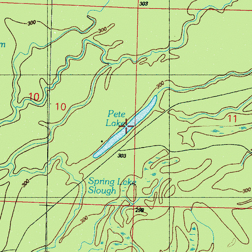 Topographic Map of Pete Lake, MS
