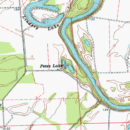 Topographic Map of Petes Lake, MS