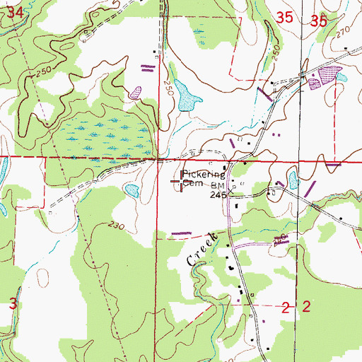 Topographic Map of Pickering Cemetery, MS