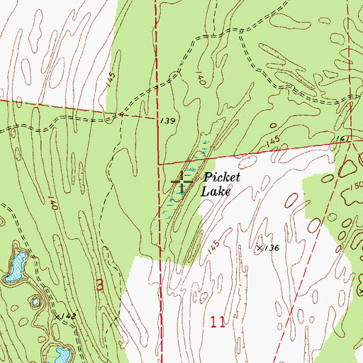 Topographic Map of Picket Lake, MS